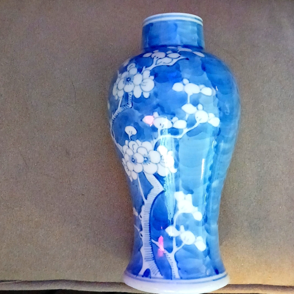 China porcelain Qing Dynasty Blue and white Plum blossom bottle